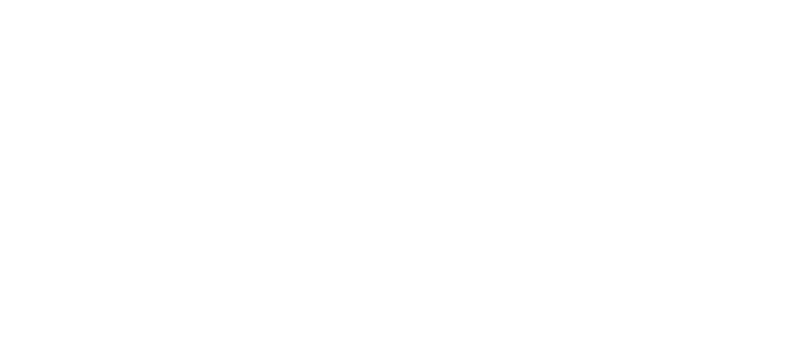 Logo Lübecker Zaunmanufaktur